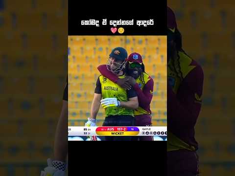 ඇයි මේ ගේල් සතුටින්☺️#shorts #cricket #cricketshorts
