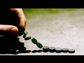 Exploring the Science of Polymagnets