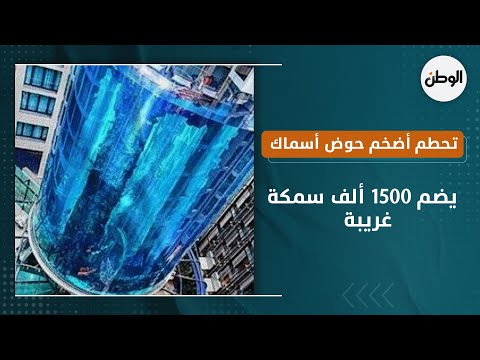 تحطم أضخم حوض أسماك أسطواني بالعالم  يضم 1500 ألف سمكة غريبة