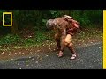 Mick's Crab Catching Adventure