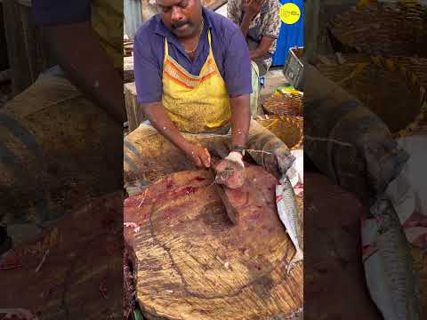 ⬆️KASIMEDU SPEED SELVAM SEER FISH CUTTING VIDEO #kasimeduselvam #bigfish #shorts #youtube