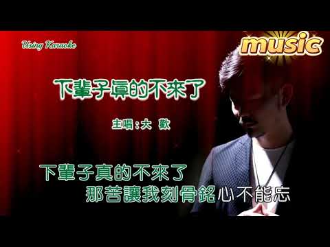 下輩子真的不來了-大歡-KTV 伴奏 no vocal 無人聲 music 純音樂 karaoke 卡拉OK 伴唱下輩子真的不來了-大歡-