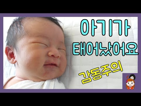 아기가 태어났어요 (감동주의+눈물주의) 아기출산, 양육, 육아 l 프리티에스더 PrettyEsther