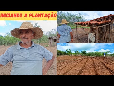 🏡 Iniciando a Plantação no Sítio Vejam só Como tá Ficando +Mostrando Abrigo pra Zé Pequeno