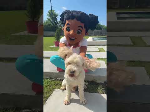 When the elephant dance turns into a paw-ty! 🐾 #kidssong #elephantdance
