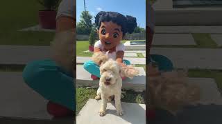 When the elephant dance turns into a paw-ty! 🐾 #kidssong #elephantdance