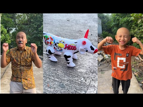 vidio batviss boy bersama sapi kurban dan vidio lucu lainnya