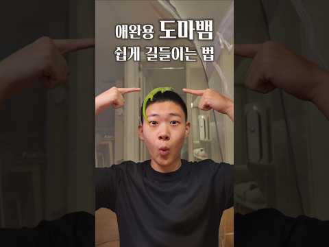 애완용 도마뱀 쉽게 길들이는 법 #reptiles #animals #funny #파충류 #도마뱀