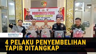 Polisi Tangkap Empat Pelaku Penyembelihan Tapir di Mesuji Dua Pelaku Masuk Daftar DPO 