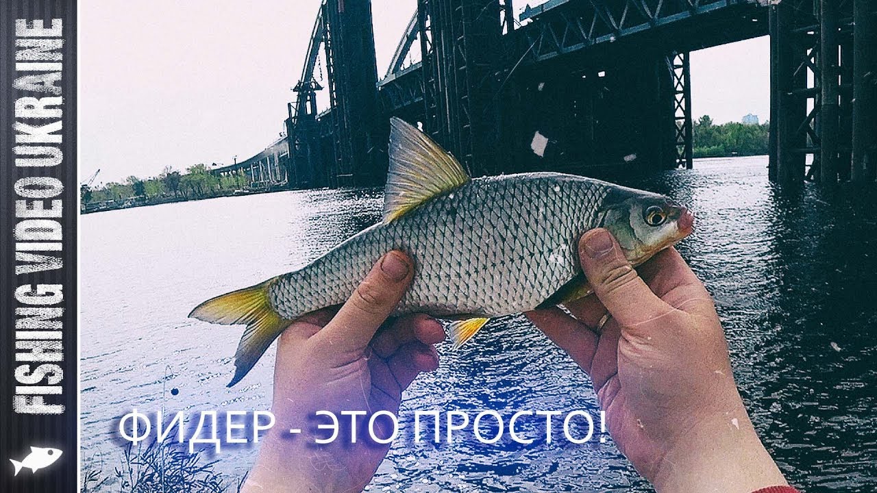 Простая фидерная рыбалка на старом добром месте
