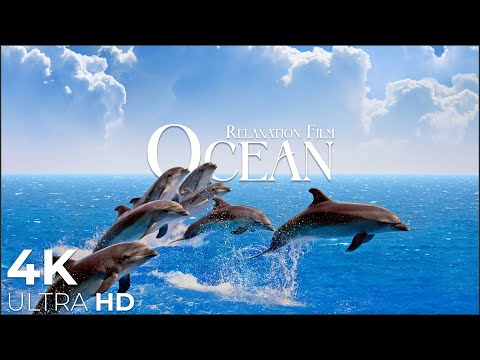 Our Beautiful Ocean bath with Relaxing Music - 4k Video HD Ultra