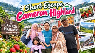Ke Tokyo Town Cameron Highland bersama keluarga.