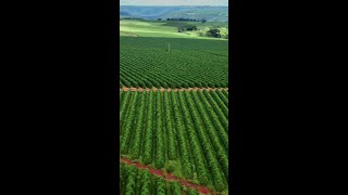 Tratores John Deere Série 3, 5E e 5EN
