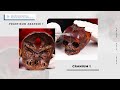 Cranial Bone Structures and Functions