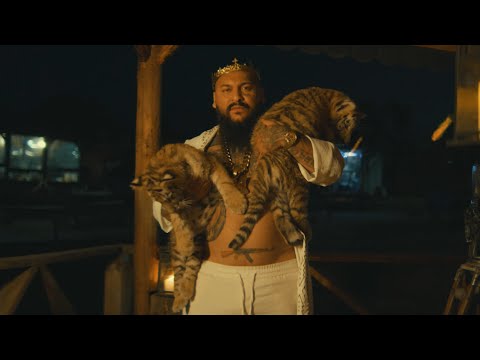 Dani Mocanu 🐅 Tigrul tau | Official Video