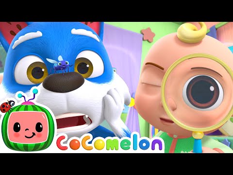 I Spy, A Fly + More CoComelon JJ's Animal Time Kids Songs | Animal Songs for Kids