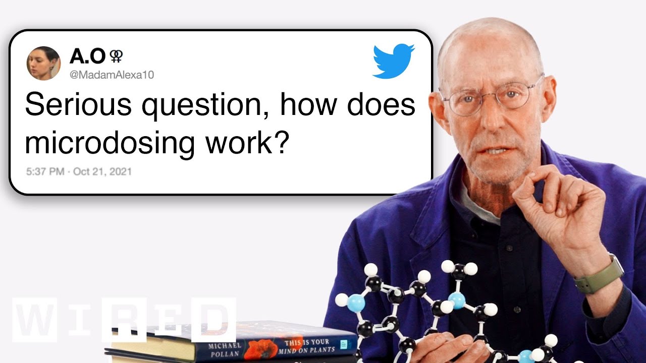Expert Answers Psychedelics Questions From Twitter (ft. Michael Pollan) - Tech Support