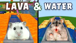 Hamster in Roller Coaster Lava & Waterpool Mazes in Minecraft
