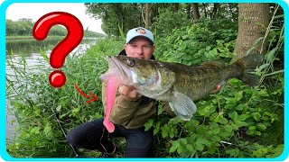 PETIT ou GRAND appat pour pêcher le CANAL ???