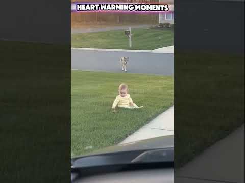 Phillies land All-Star closer Jhoan Duran ahead of MLB trade deadline #jhoanduran 💪