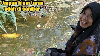 WIDIHH!!! BELUM JUGA TURUN UDAH DI SAMBAR...