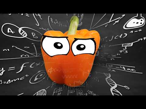 I tried making my own website