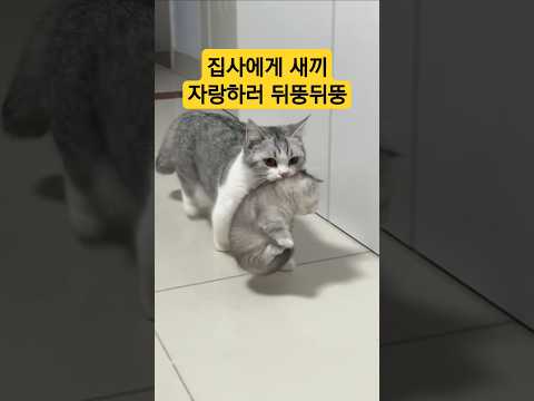 내새끼 이쁘냥