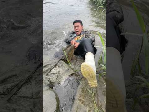 Dambuhala kaya pala hirap niyang hilain😱😱😱