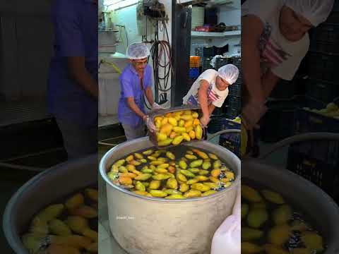 आमरस केसे बनता है? | Bulk Making of Aamras/Fresh Mango Ras #aamras #factory #freshmango #mangojuice