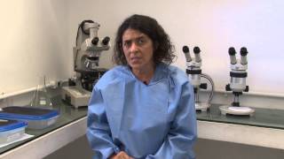 Módulo 5 | Estratégias de Controle do Vetor