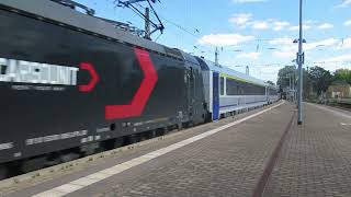 Sichtungen in Riesa 2026 08 11