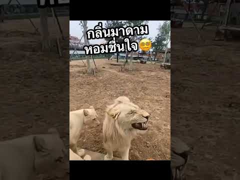 บอกความรู้สึกออกมาซิ