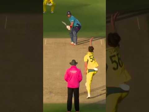 Nightmares Of Mitchell starc🥶