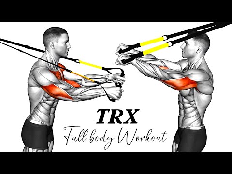 11 Best TRX Exercises for a Full Body Workout