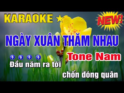 Ngày Xuân Thăm Nhau Karaoke Tone Nam (Em) Trung Hiếu