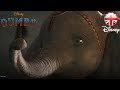 Baby Elephant Story Comprehension