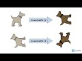 Understanding Carol's Programming Concepts