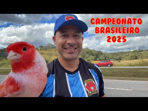 Campeonato Brasileiro FOB 2025