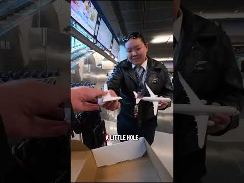 I gave a paper model Embraer E175 to an American Eagle (Envoy) pilot!
