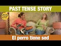 Comprensión del Video: Un Día en el Parque