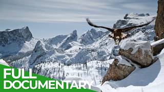 Wildlife At The Limits - Hot And Cold | Free Documentary Nature