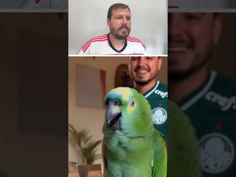 ATÉ O PAPAGAIO TIRA ONDA COM O PALMEIRAS 😂 #flamengo #palmeiras #futebol #mengaomalvadao #mengão
