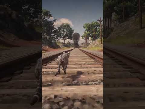Animals able to pass under the train in red dead redemption 2 #gaming #rdrd2