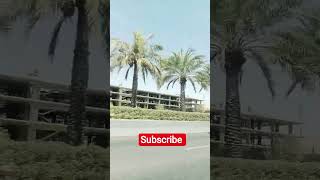 #ytshorts #love #shorts #trending #trendingshorts #viral #viralvideo #viralshorts #youtubeshorts #yt