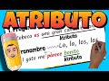 Understanding Attributes in Spanish Grammar