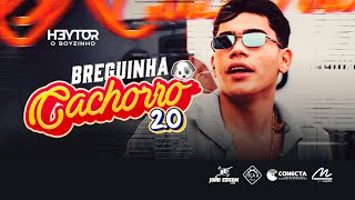 HEYTOR O BOIZINHO - JUNHO 2025 - REPERTÓRIO NOVO (05 MÚSICAS NOVAS) @JOAOEDSONCDS