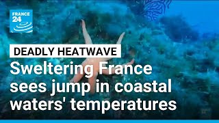 YouTube video thumbnail: Sweltering France Sees Jump in Coastal Waters' Temperatures