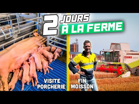 2 JOURS À LA FERME : Visitez ma porcherie neuve !