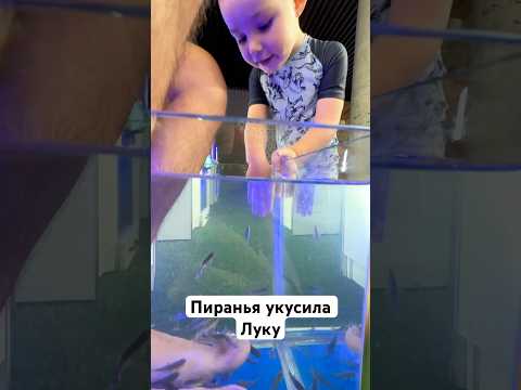 Пиранья чуть не укусила Луку😱