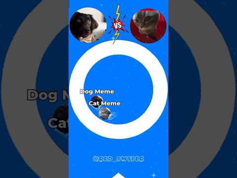 I'm Addicted To This Music??|  Cat Meme Vs Dog Meme